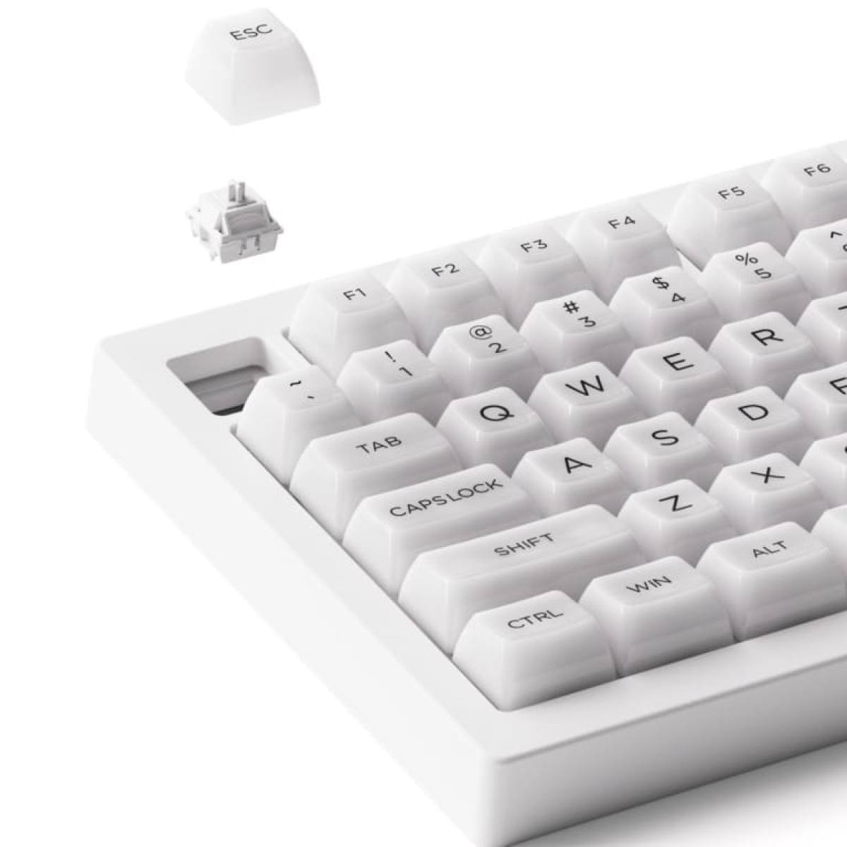 Bàn phím cơ AKKO 5075B Plus Transparent ASA White/Piano Pro (Hotswap/RGB/Multi-modes)