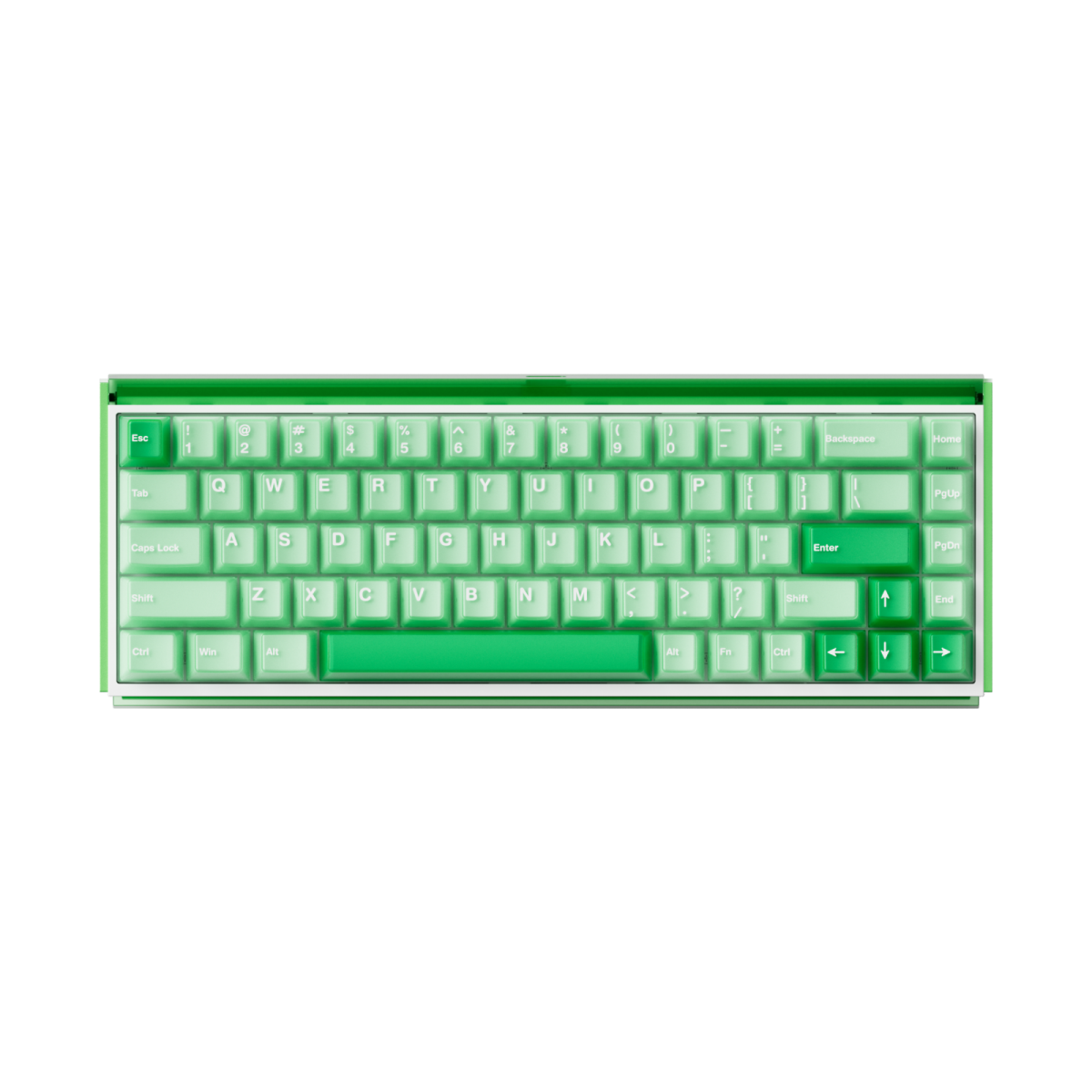 Bàn phím Akko Ray68 Misty Green - HE AstroAim Magnetic Switch