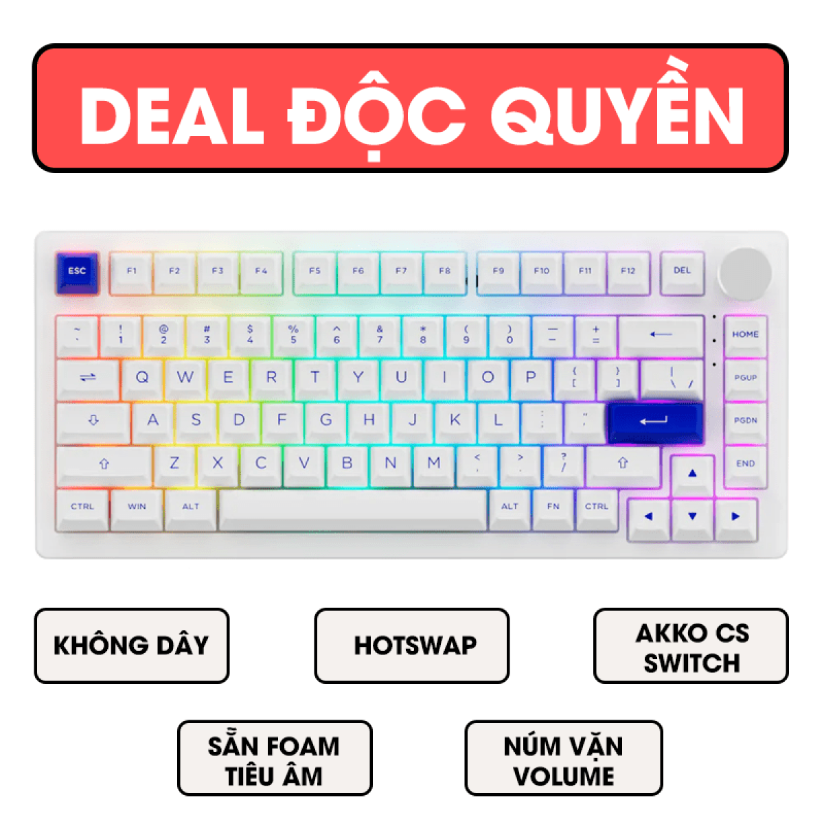 Bàn phím AKKO PC75B Plus Blue on White (3MODE / Hotswap / Foam tiêu âm / AKKO CS Jelly switch)