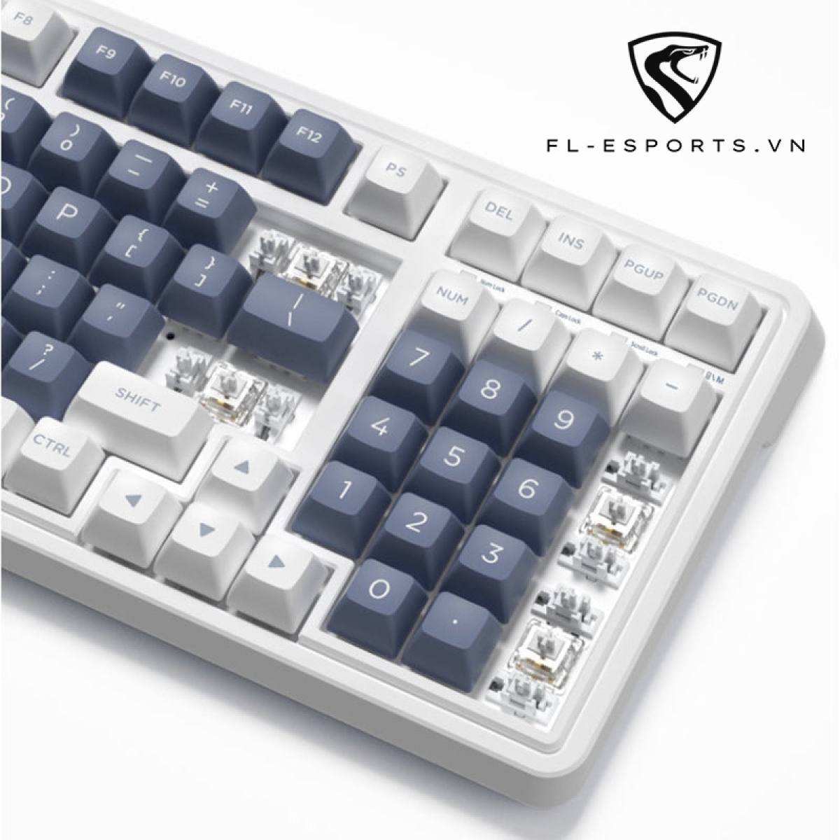 Bàn phím FL-Esports CMK99 SAM Ice Blue | TTC Sw