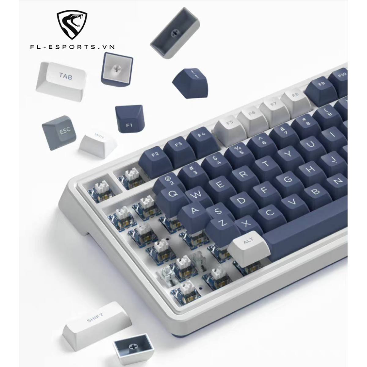 Bàn phím FL-Esports CMK99 SAM Ice Blue | TTC Sw