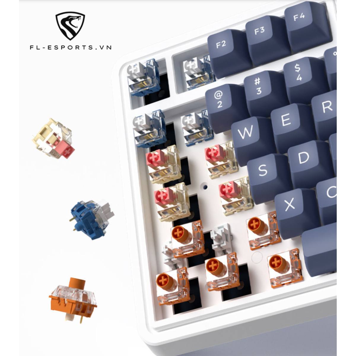 Bàn phím FL-Esports CMK99 SAM Ice Blue | TTC Sw