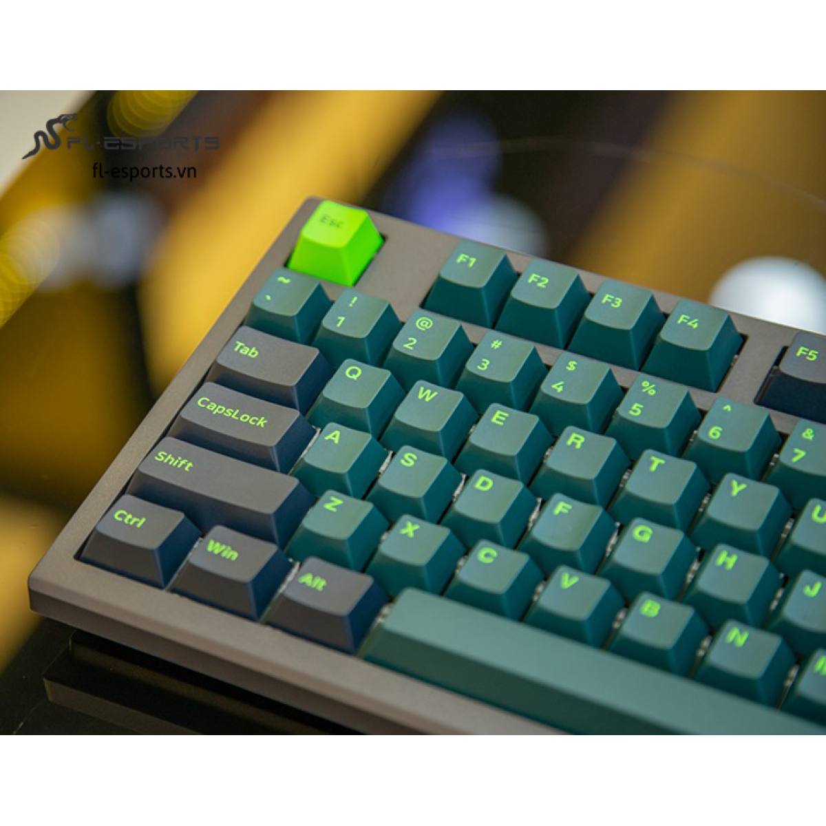 Bàn phím FL-Esports FL980CP Sound Wave Green - Rosa Switch