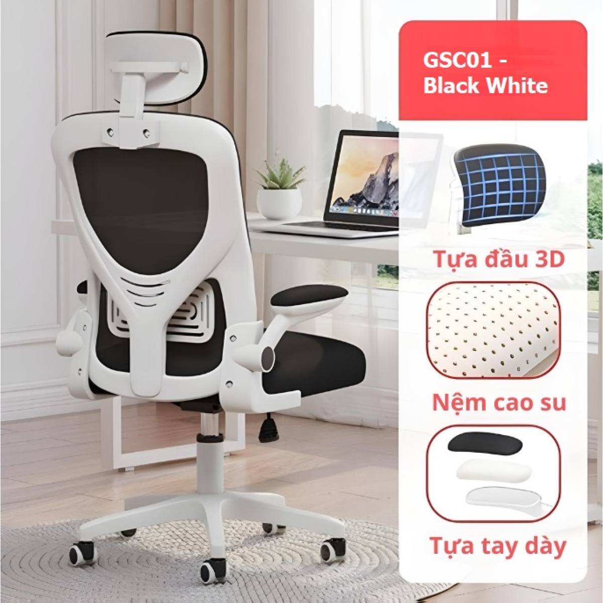 Ghế Công Thái Học GSC01