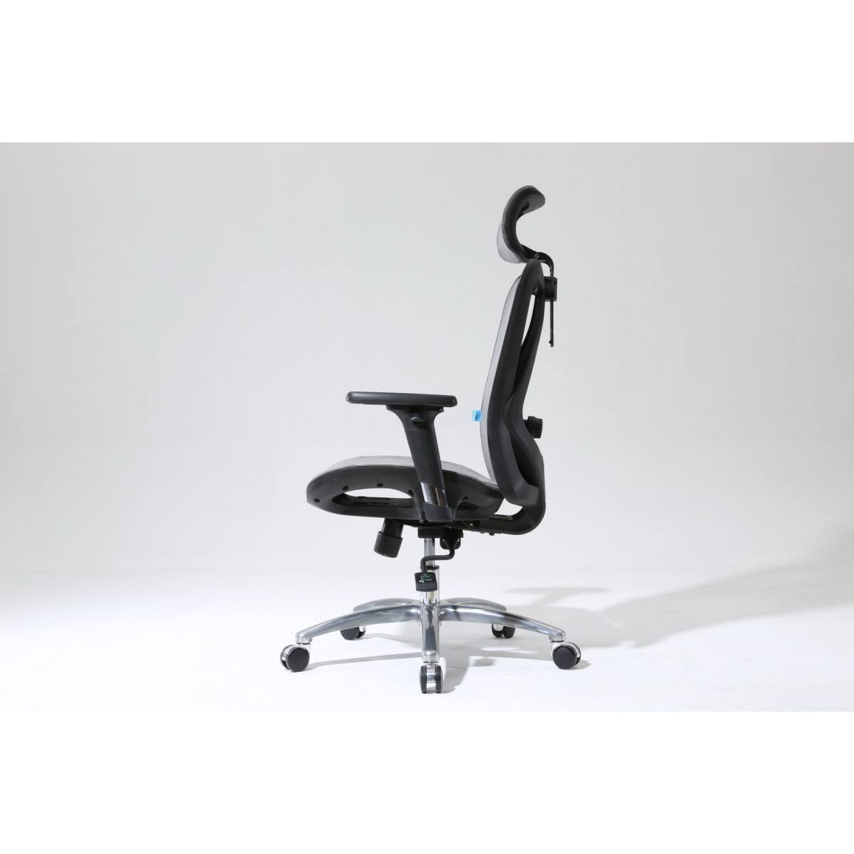 Ghế công thái học SIHOO M57