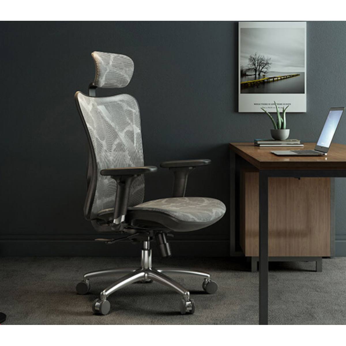 Ghế công thái học SIHOO M57